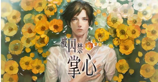 《被囚禁的掌心》-太原Switch专修游戏下载站