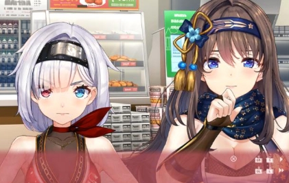 《女忍者同居生活1》-太原Switch专修游戏下载站