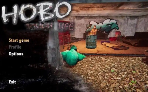 《流浪汉：艰难的生活》-太原Switch专修游戏下载站